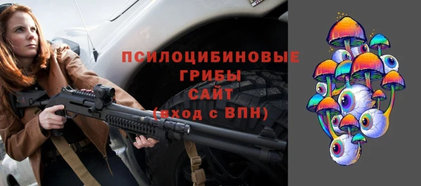 тгк Горно-Алтайск