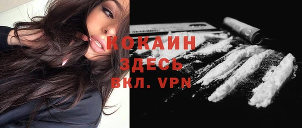 гидра Вязьма