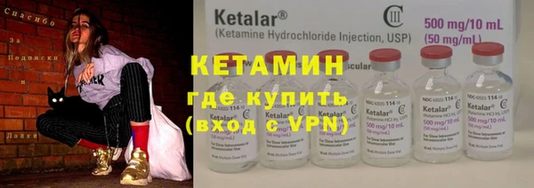 гидра Вязьма