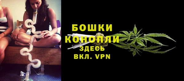 гидра Вязьма