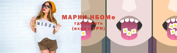 гидра Вязьма