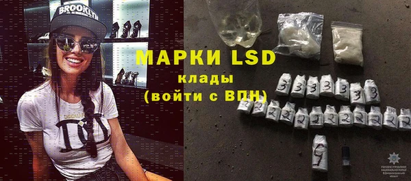 прущие грибы Горнозаводск