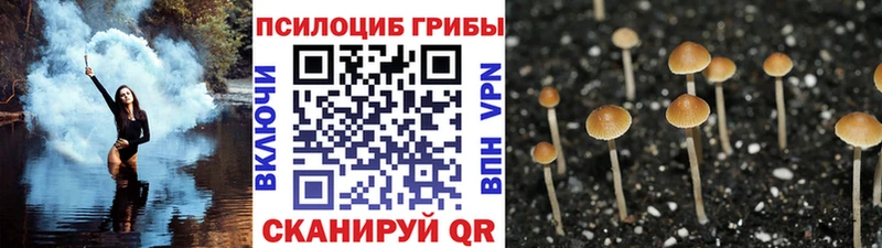 Псилоцибиновые грибы MAGIC MUSHROOMS  Северодвинск 